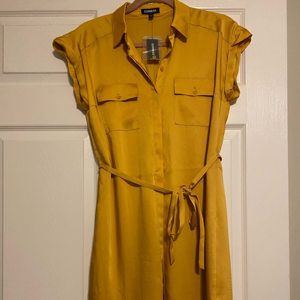 Express Button down Silk Dress
